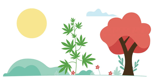 Hemp vs. Marijuana vs. Cannabis Explained