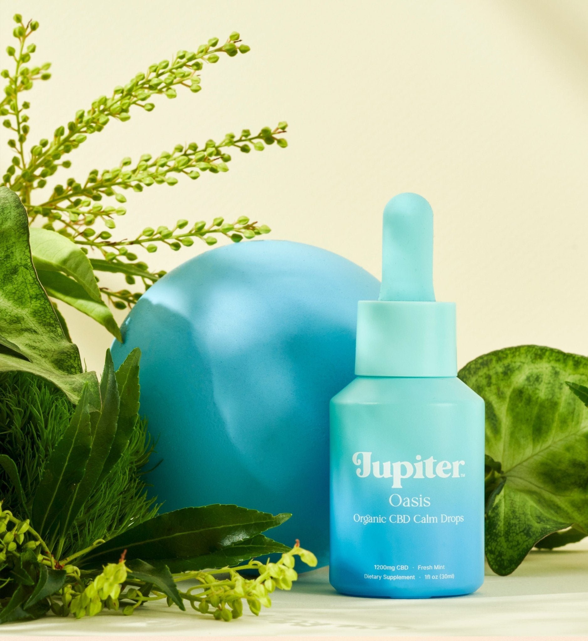 Oasis - Organic CBD Calm Drops Jupiter Oasis - Organic CBD Calm Drops Jupiter