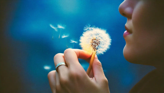Meditation Teacher Training – Beginner’s Guide - Jupiter