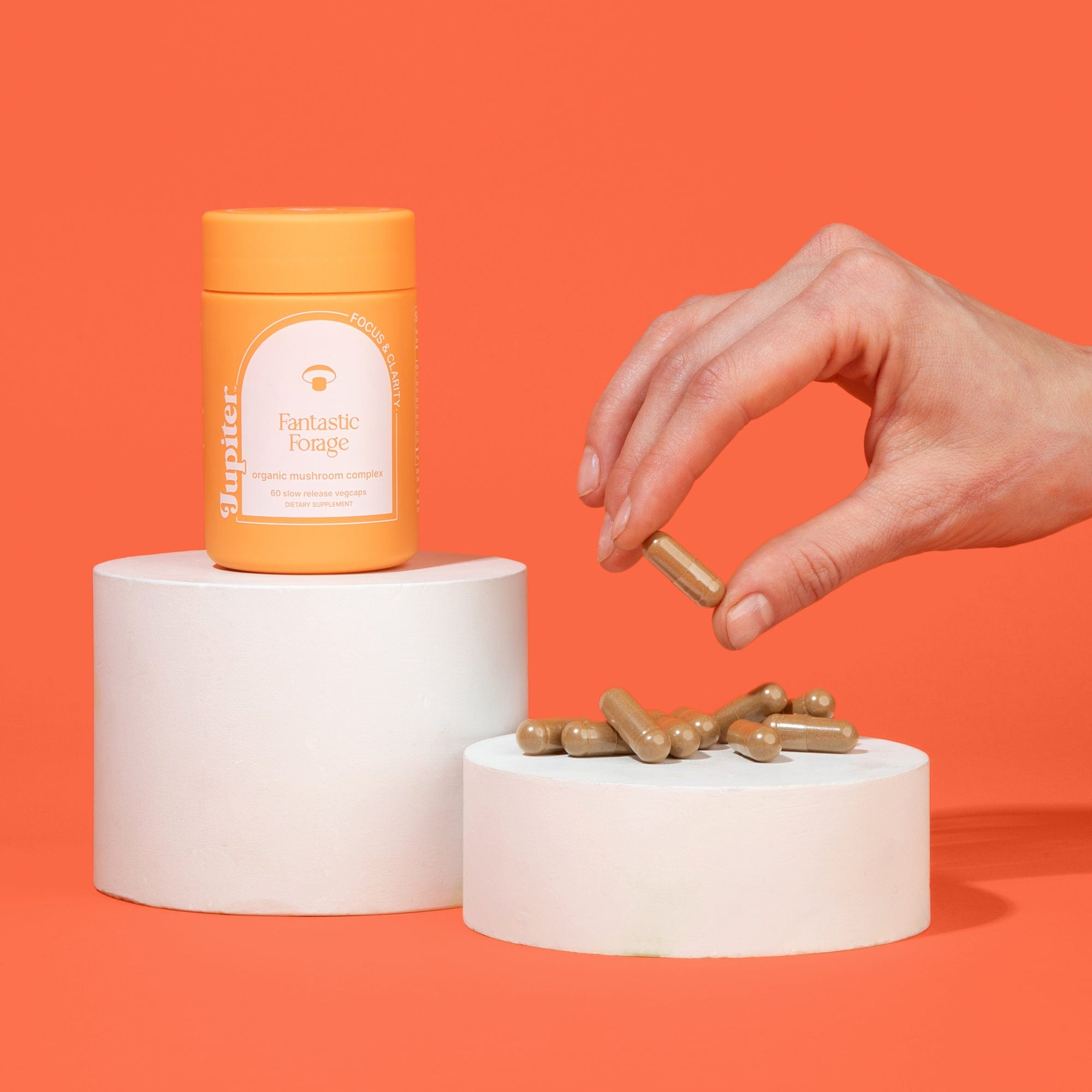 Foraging Capsule Fantastic Forage - Natural Focus & Clarity Capsules – Jupiter